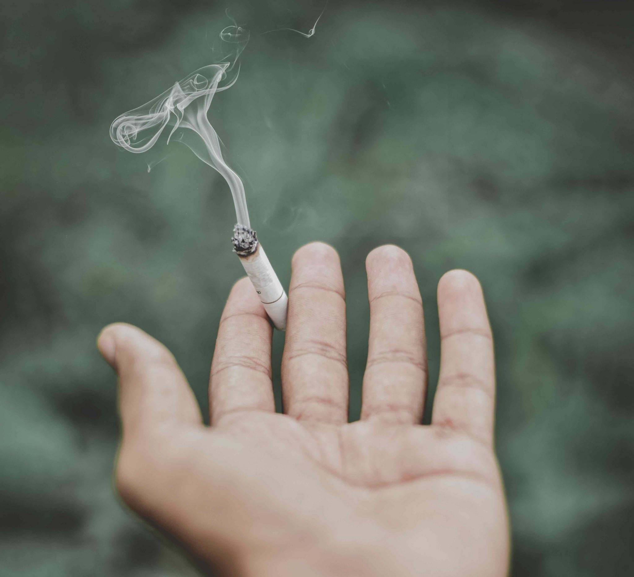 cigarette transparent Cigarette Clipart Transparent Background - Cigarette Png